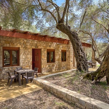 شقة Stonehouse In Olives أولتْسي المظهر الخارجي الصورة
