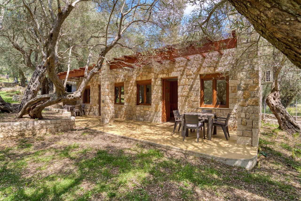 شقة Stonehouse In Olives أولتْسي المظهر الخارجي الصورة