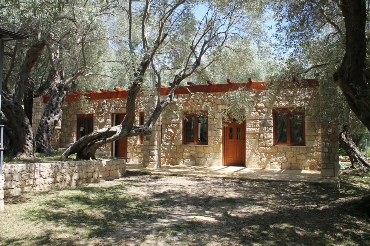 شقة Stonehouse In Olives أولتْسي المظهر الخارجي الصورة